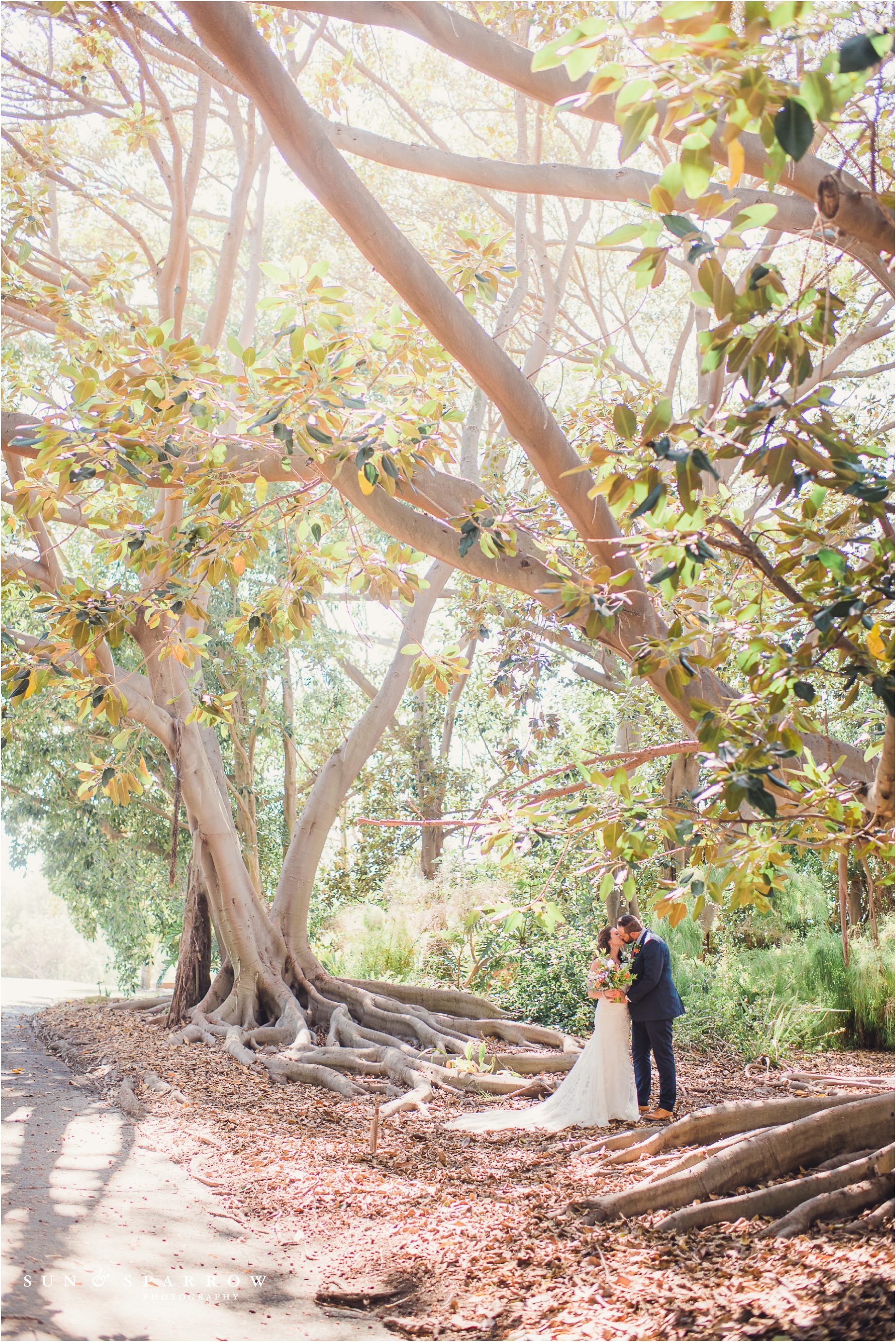 South Coast Botanic Gardens Wedding 0028