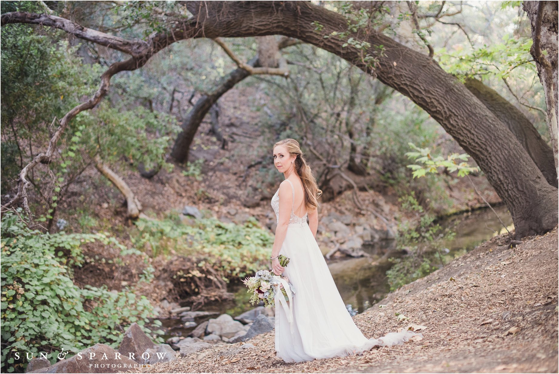 Oak Canyon Nature Center Wedding 0057