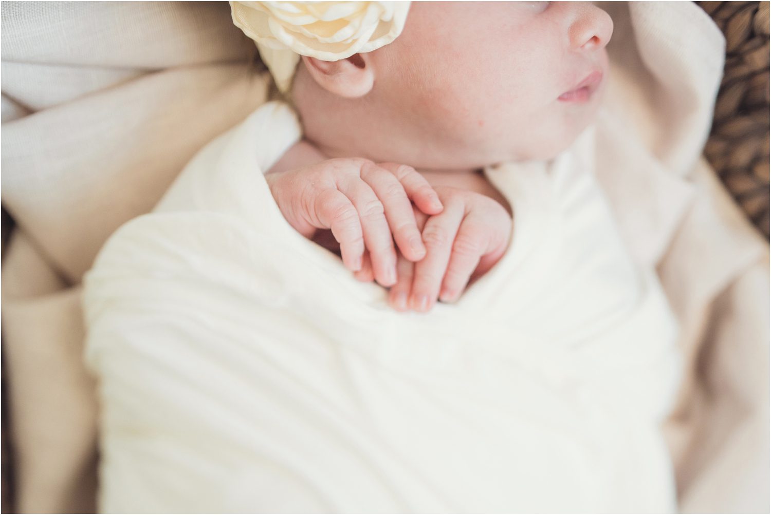 Baby Girl Newborn session 0018