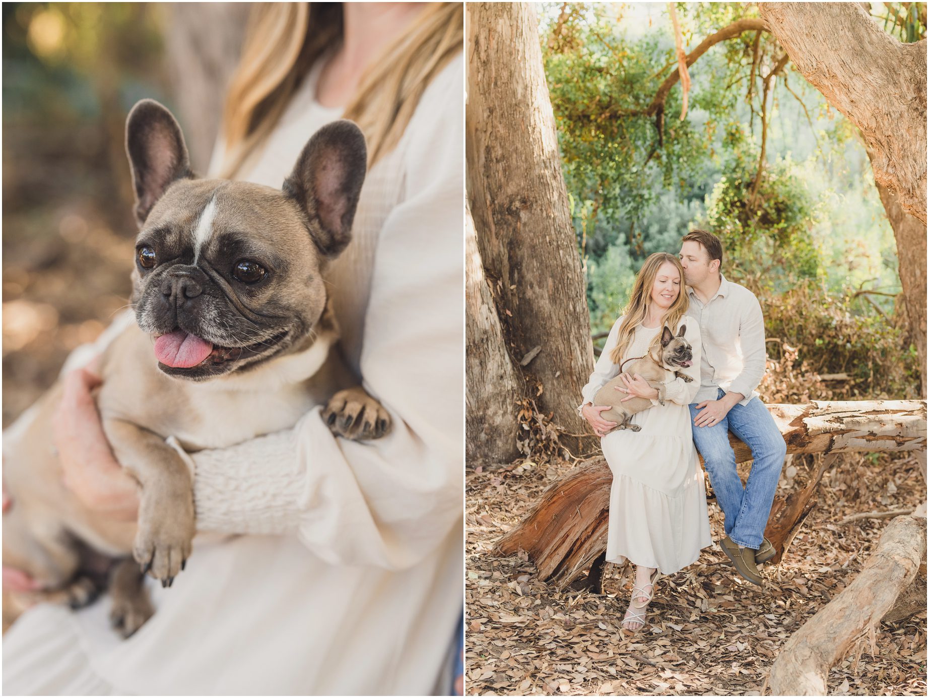 A couple and their dog near a Eucalyptus in the Secret Field In Los Angeles