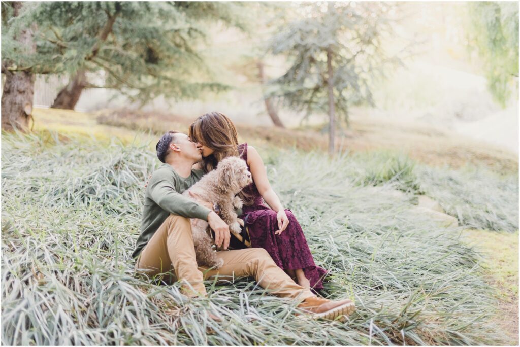 Dreamy Holiday Mini Sessions