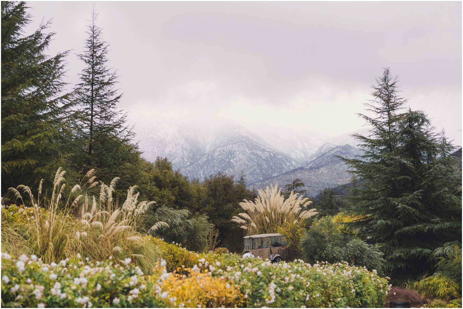 Dreamy mountainscape featuring evergreens and low lying clouds in Oak Glen California