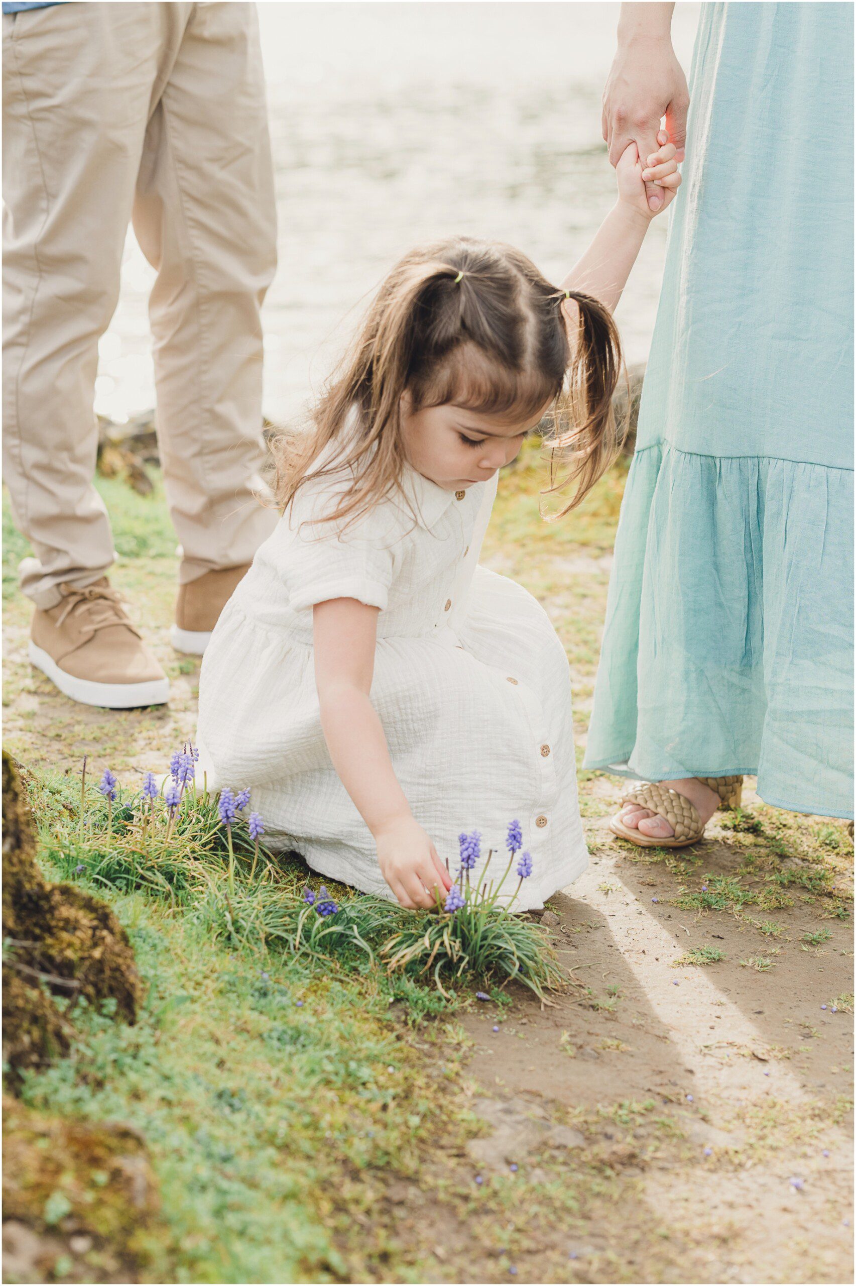 A young girl picks a flower on a path at Elk Rock Island in Lake Oswego during their Family Photo session